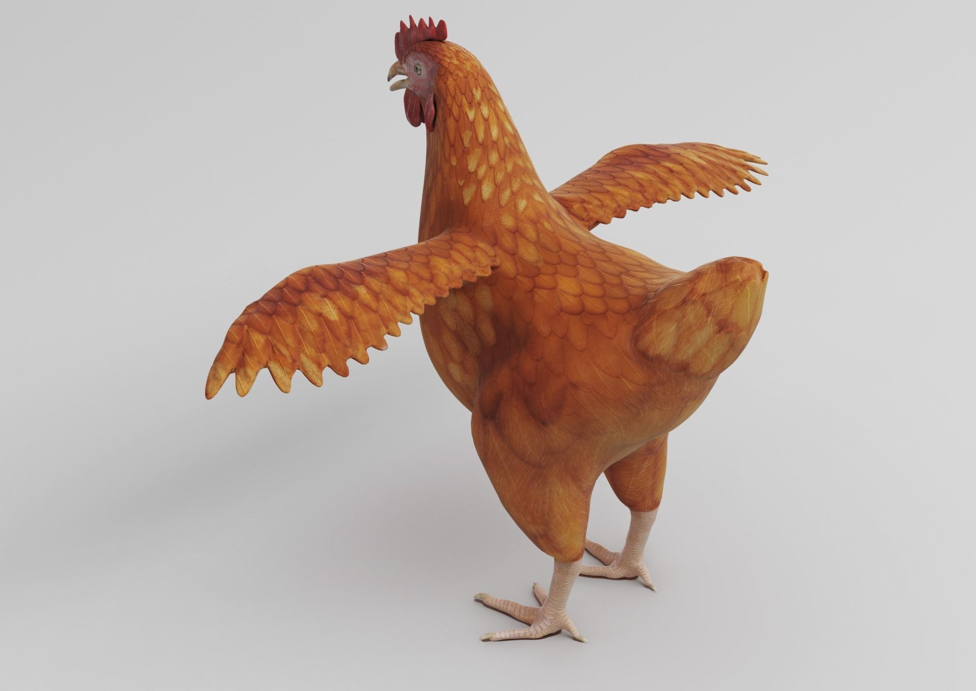 Chicken anatomy in T-pose for rigging 3D model_8