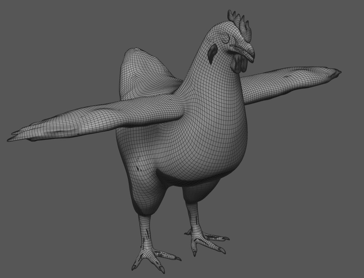 Chicken anatomy in T-pose for rigging 3D model_17