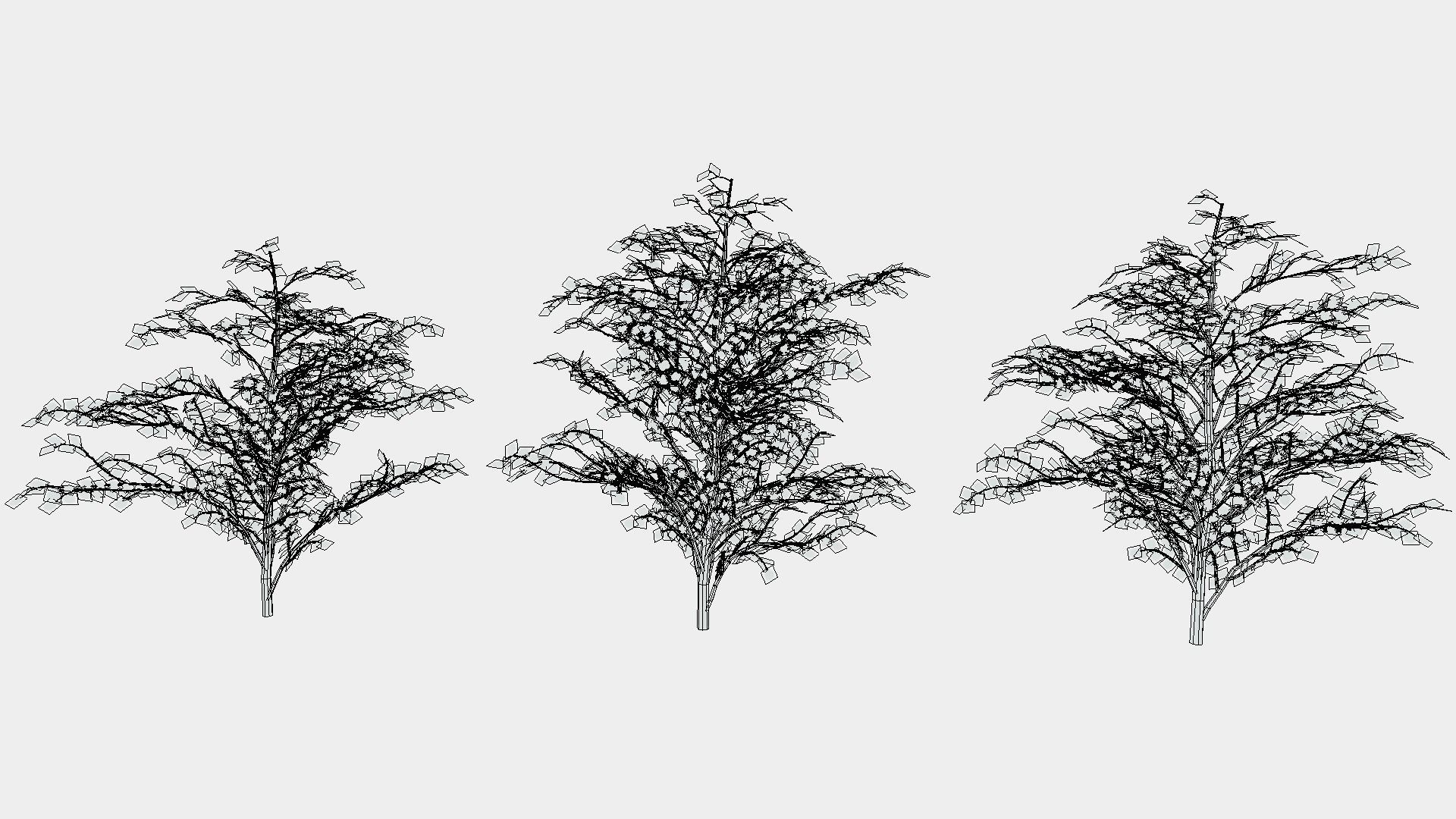 Hazels three trees 3D model_5