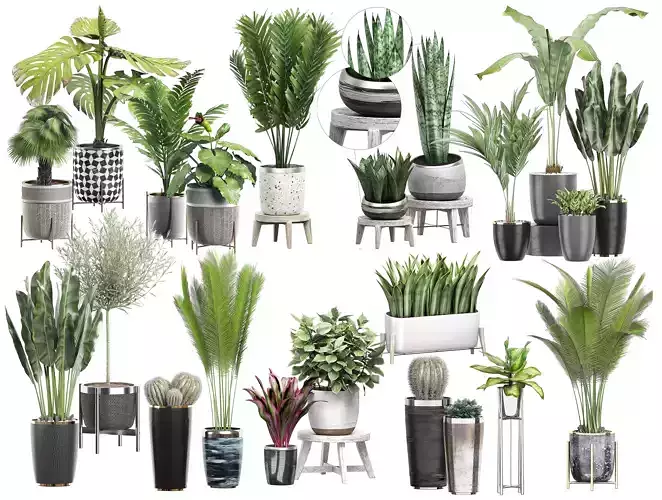 MEGA FLOWER PACK 6 3D model