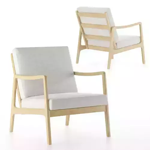 FD 109 - Easy Chair