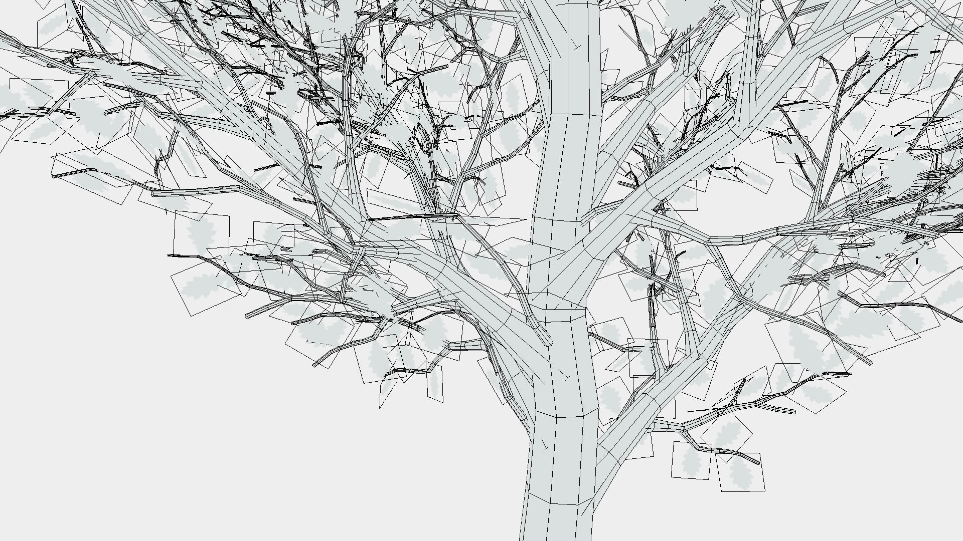 Oak trees 3D model_4