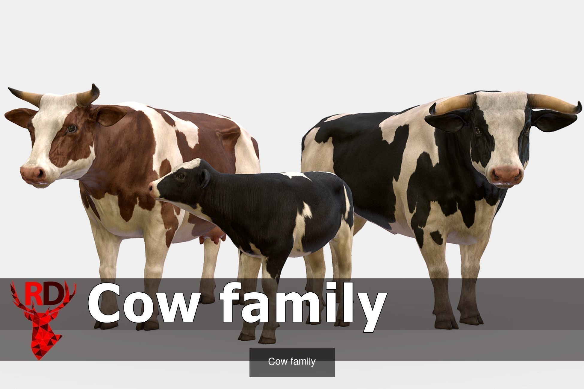 DOMESTIC ANIMALS PACK 2 3D Model Collection_9