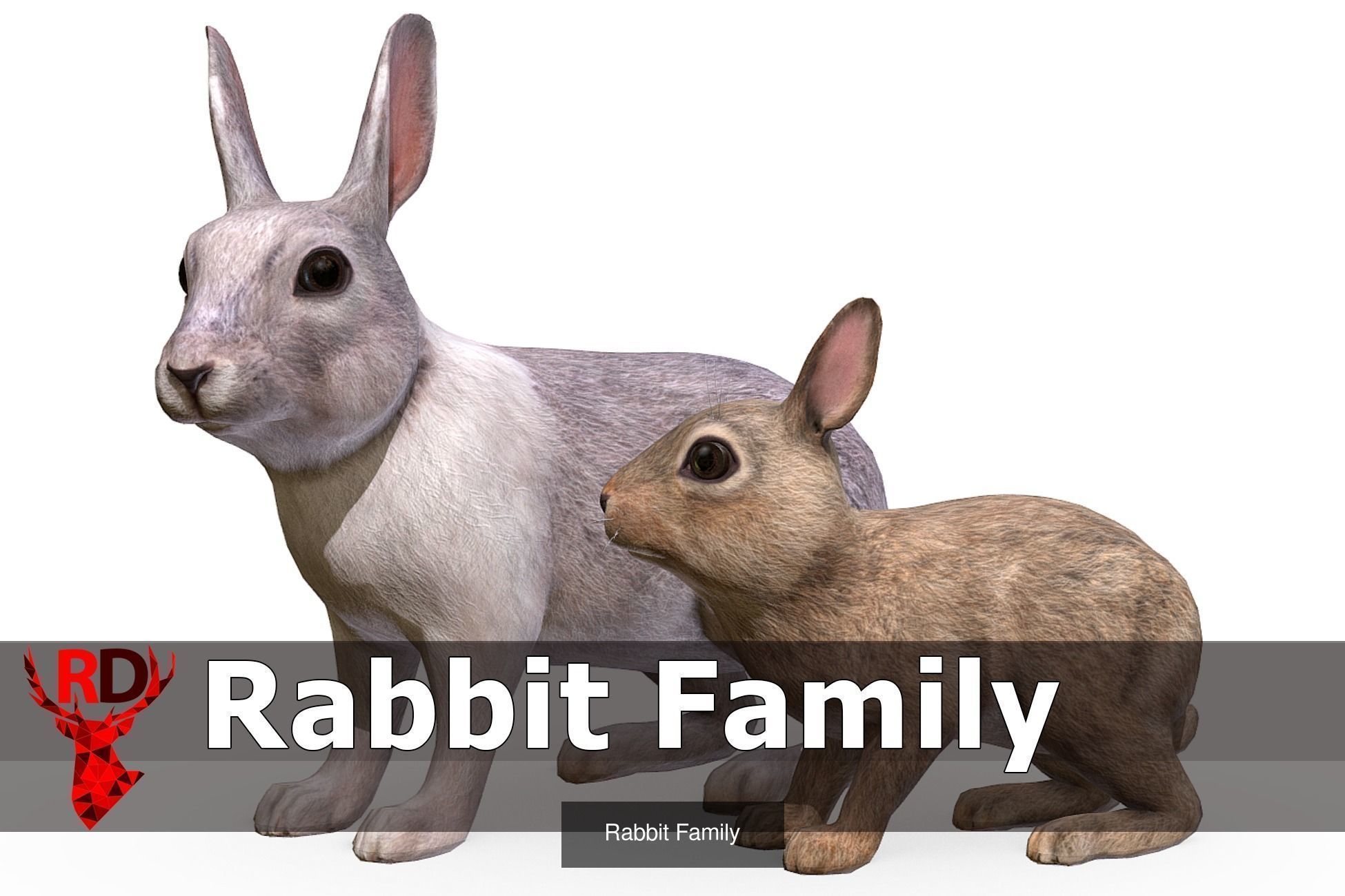 DOMESTIC ANIMALS PACK 2 3D Model Collection_14