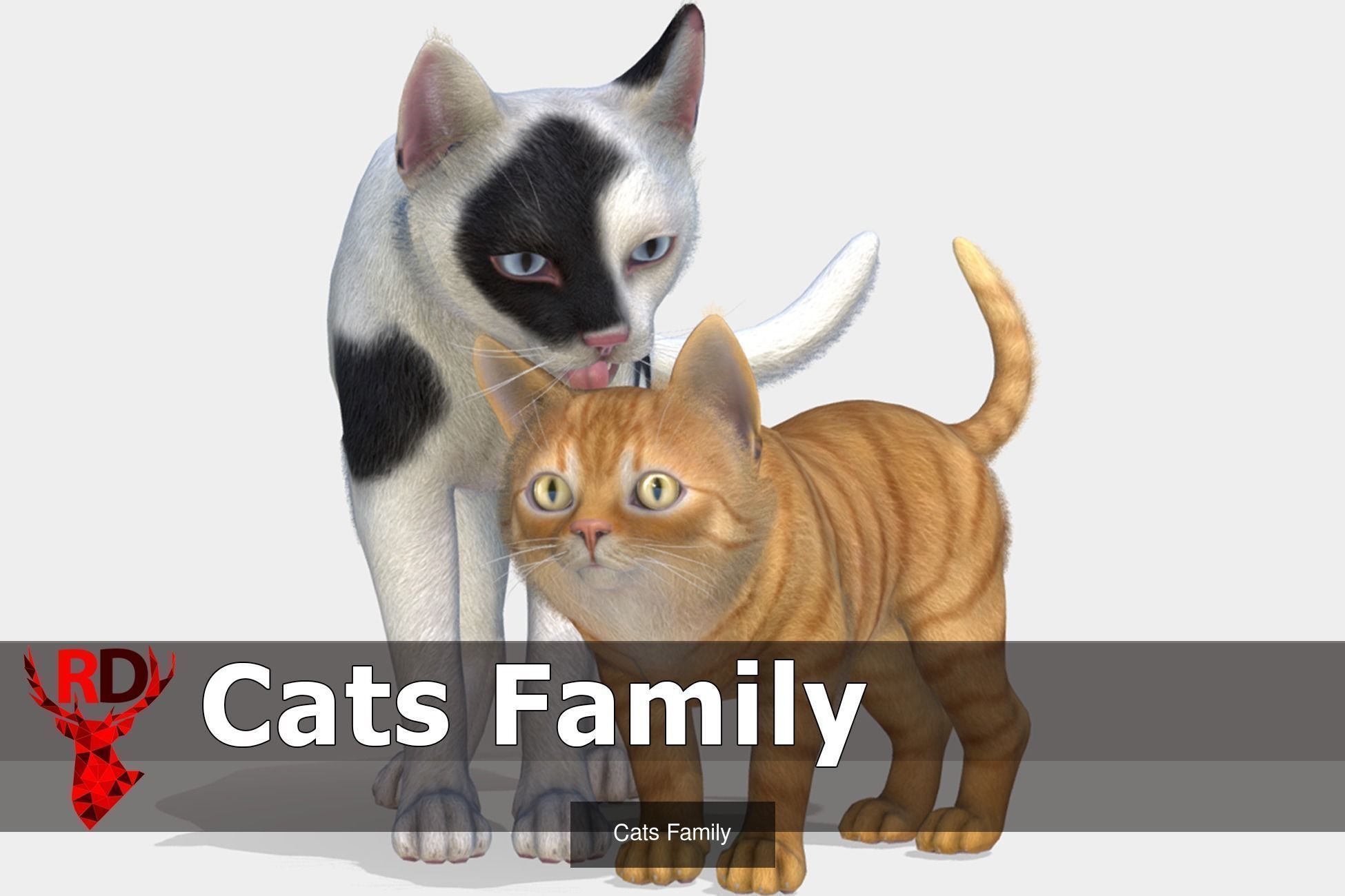 DOMESTIC ANIMALS PACK 2 3D Model Collection_7