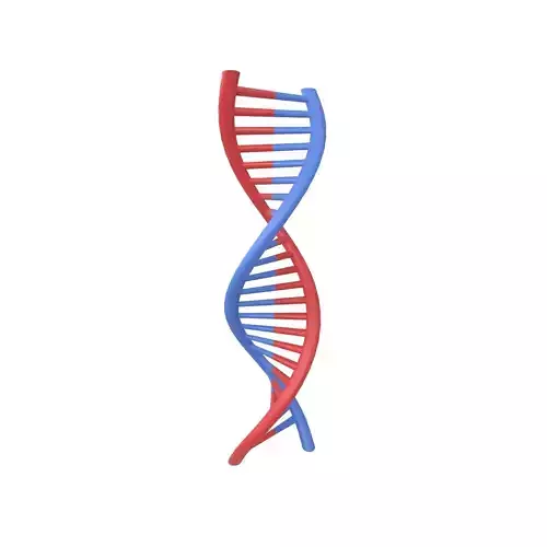 DNA Molecule v1 001 Low-poly 3D model