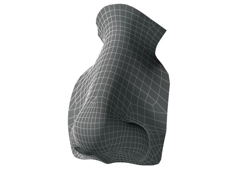 Woman Nose 01 3D model_24