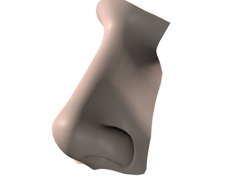 Woman Nose 01 3D model_15