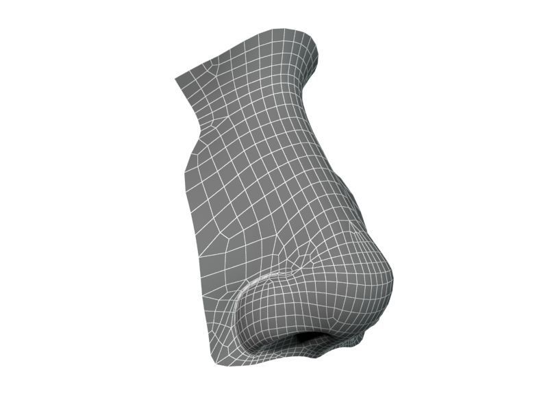 Woman Nose 01 3D model_21
