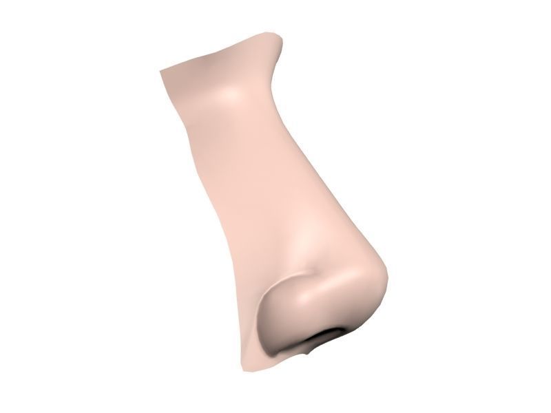 Woman Nose 01 3D model_8