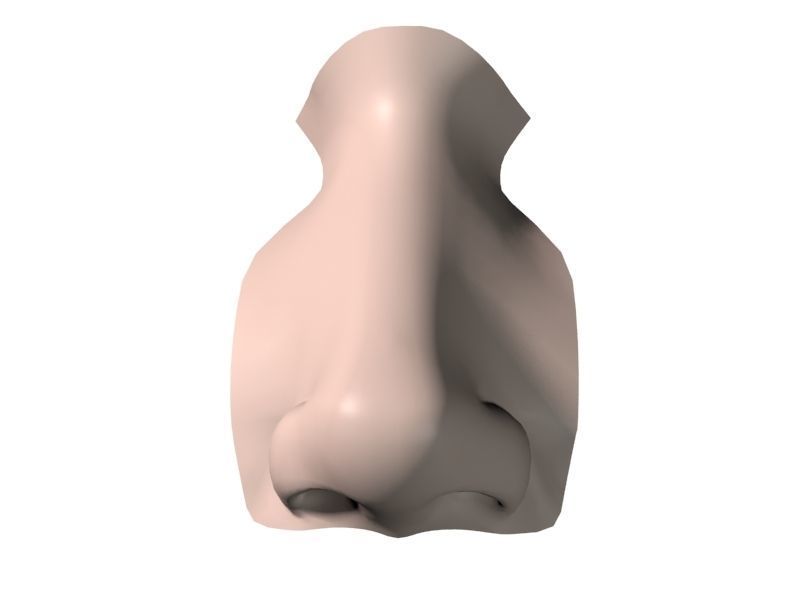 Woman Nose 01 3D model_12