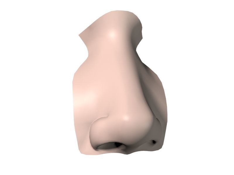 Woman Nose 01 3D model_11