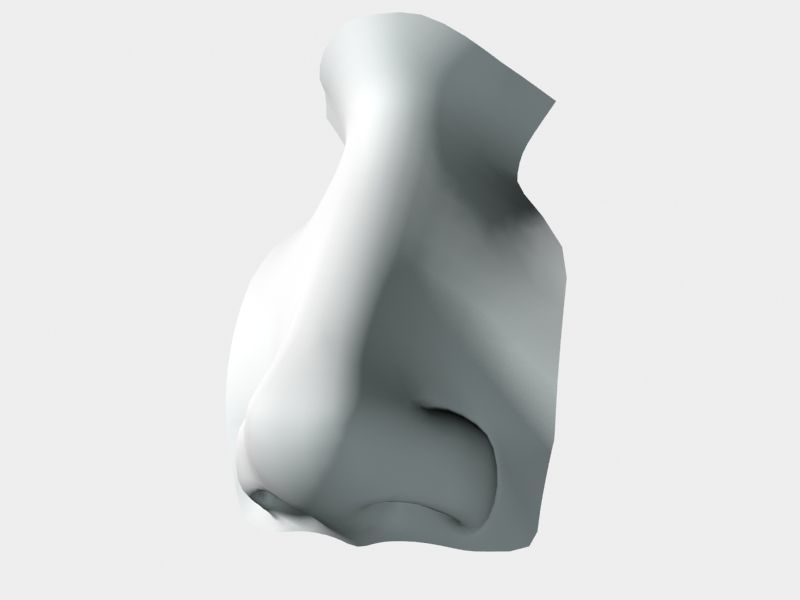 Woman Nose 01 3D model_35