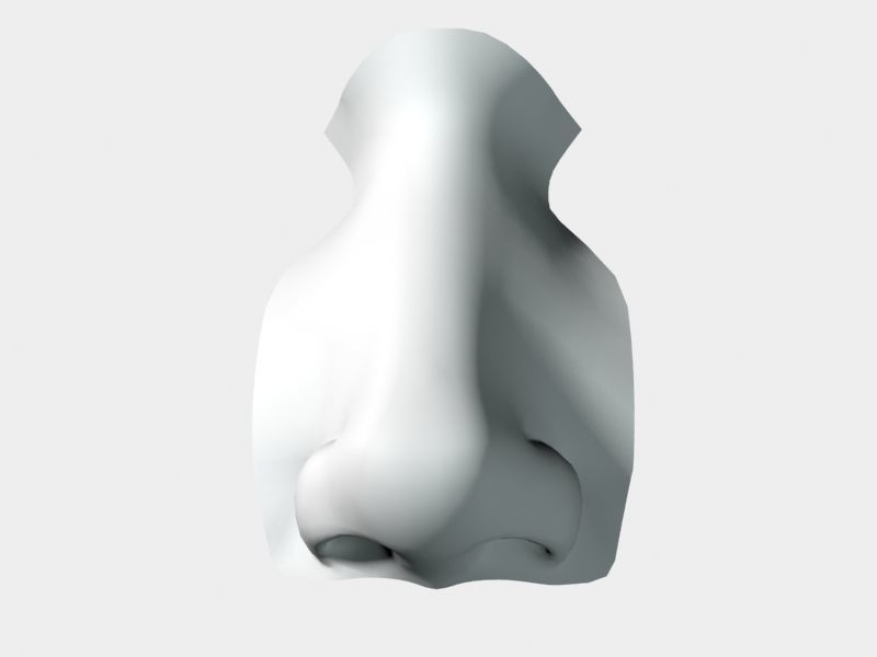 Woman Nose 01 3D model_34