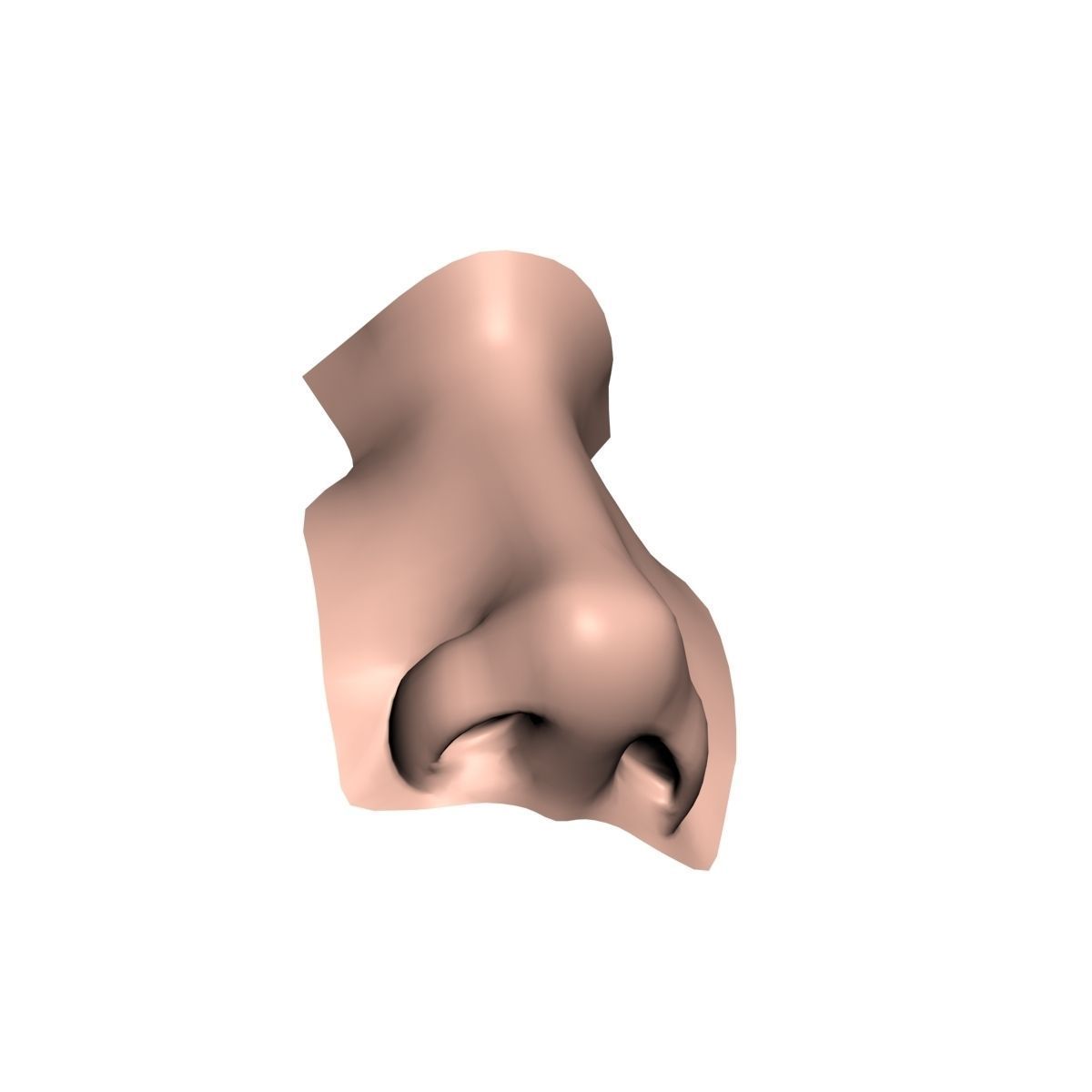 Woman Nose 01 3D model_3