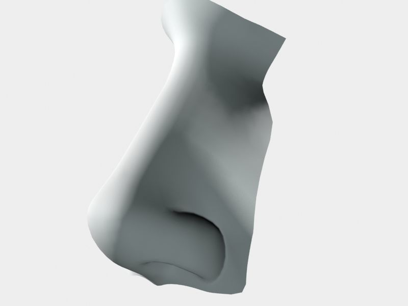 Woman Nose 01 3D model_37