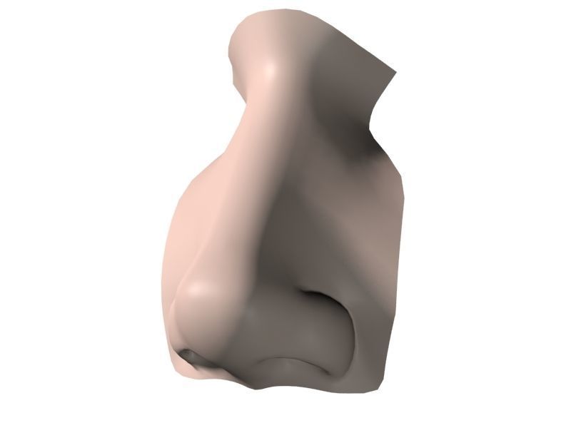 Woman Nose 01 3D model_13