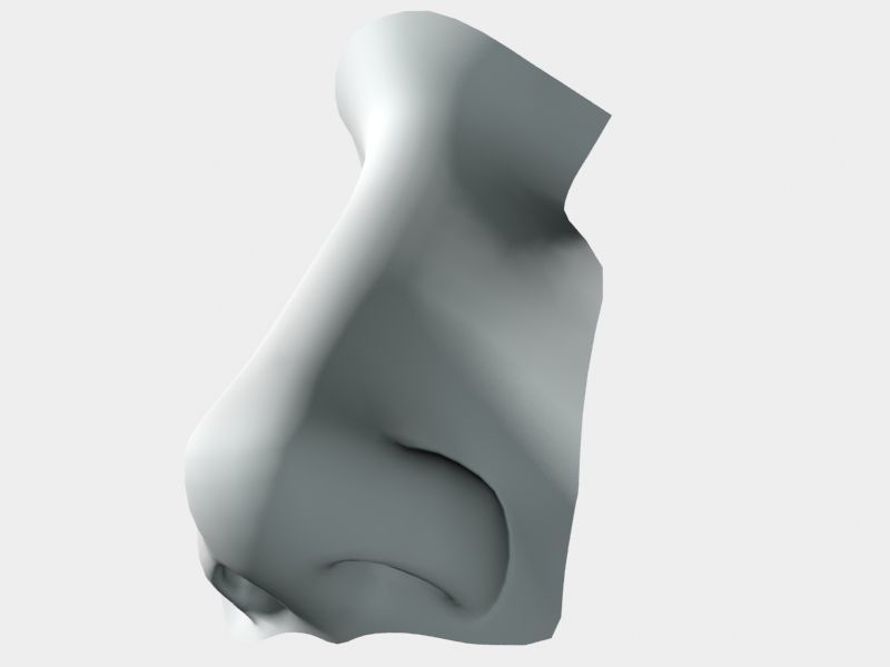 Woman Nose 01 3D model_38