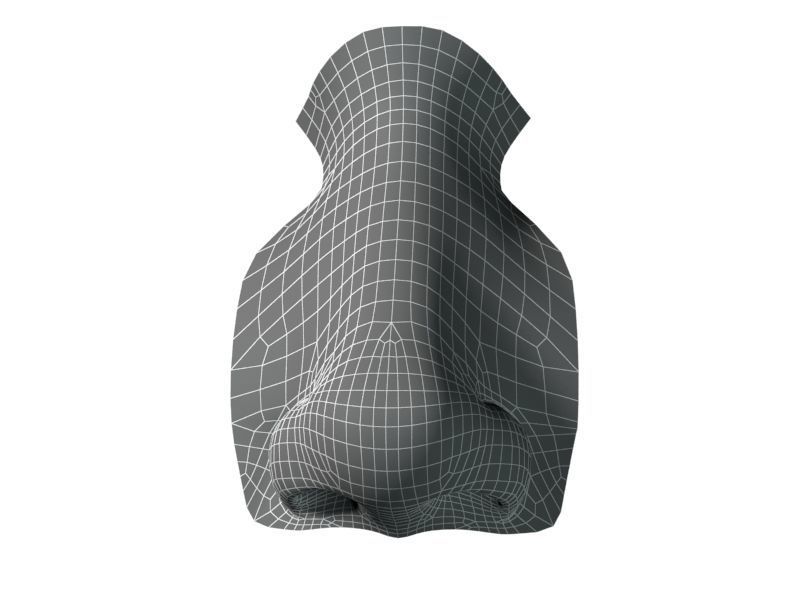 Woman Nose 01 3D model_23