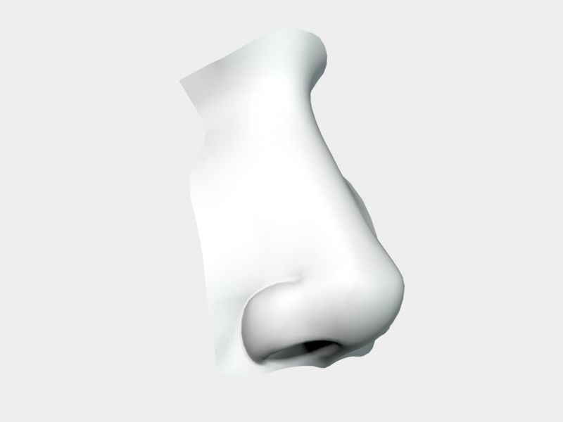 Woman Nose 01 3D model_32