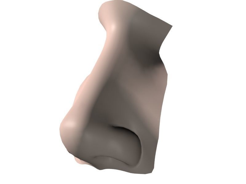 Woman Nose 01 3D model_14