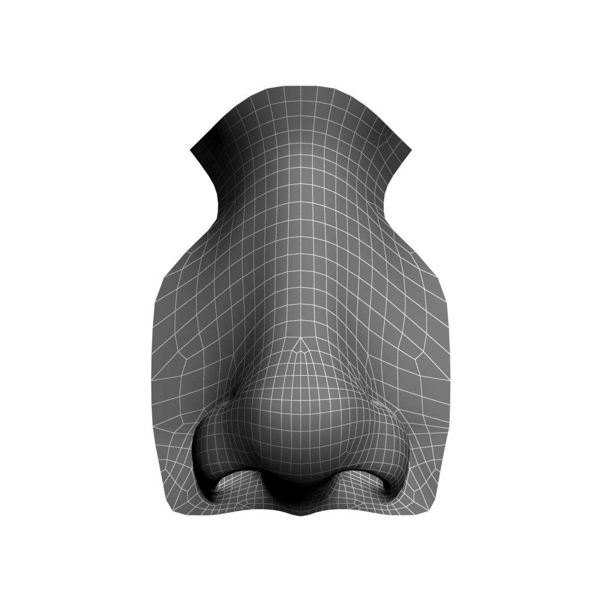 Woman Nose 01 3D model_6