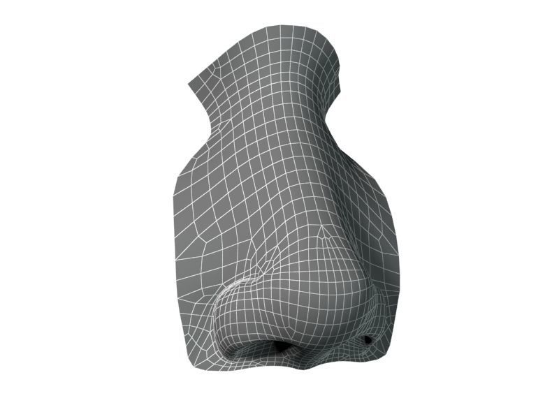 Woman Nose 01 3D model_22