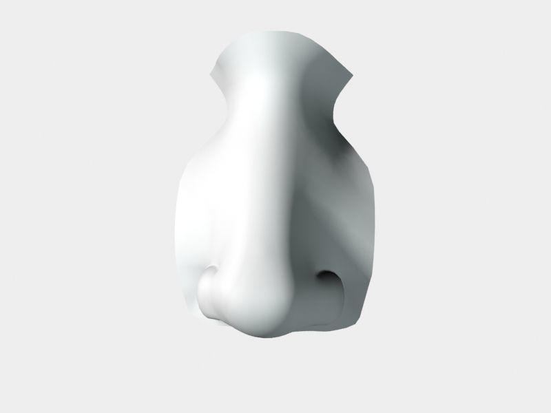 Woman Nose 01 3D model_39