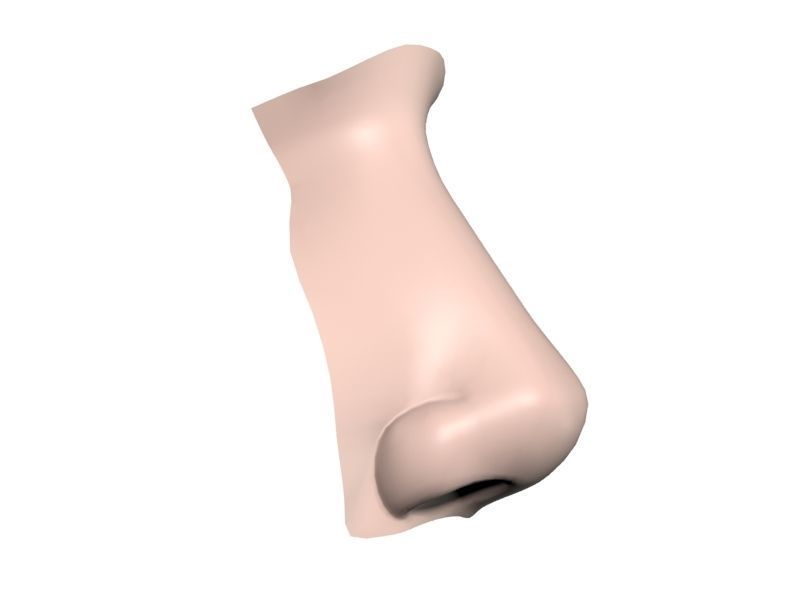 Woman Nose 01 3D model_9