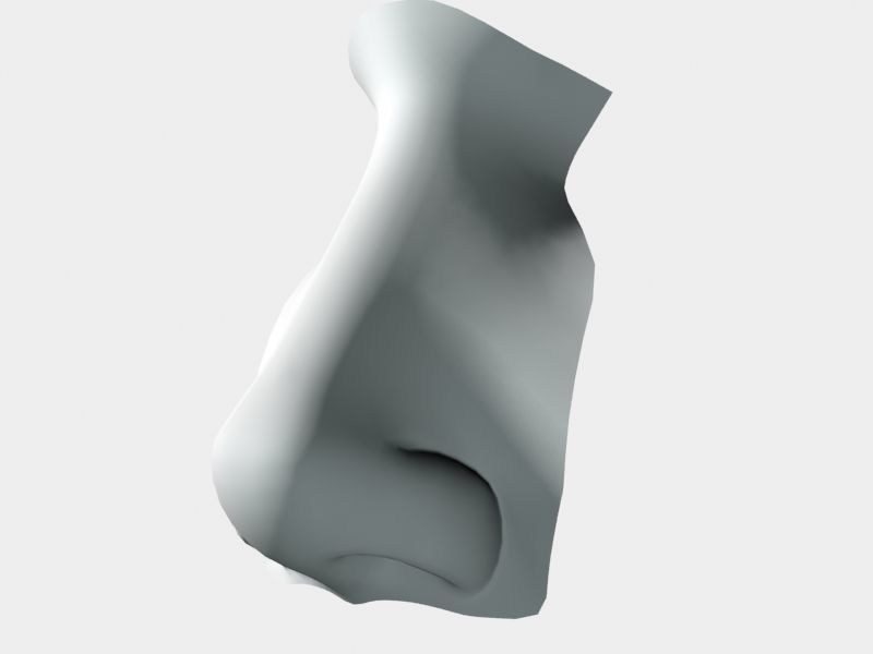 Woman Nose 01 3D model_36