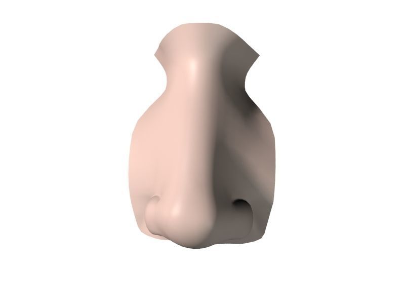 Woman Nose 01 3D model_17