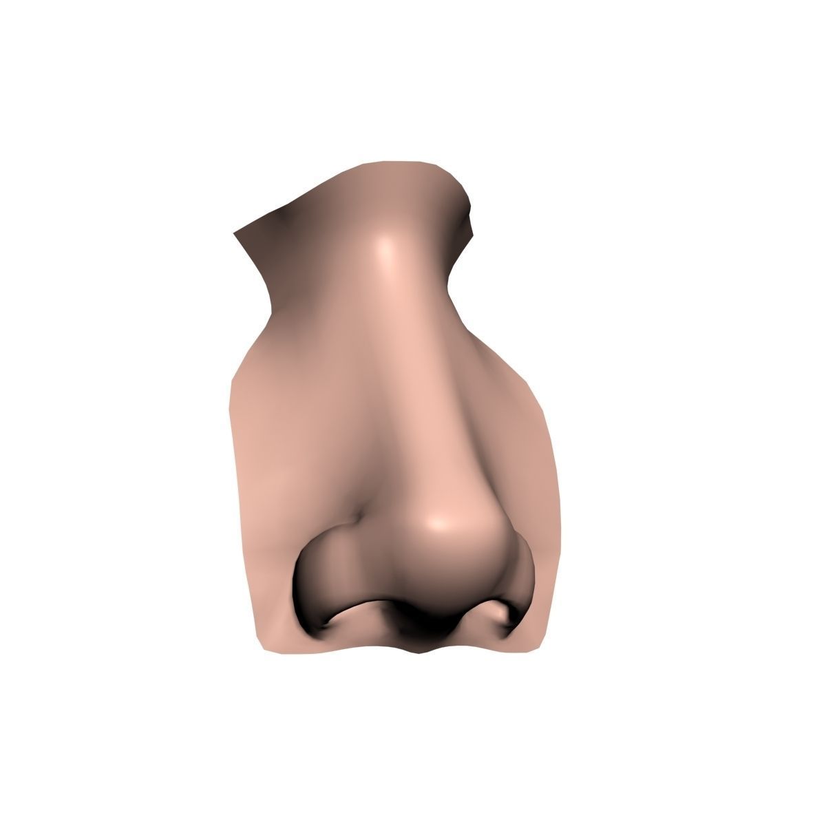 Woman Nose 01 3D model_2