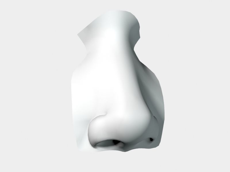 Woman Nose 01 3D model_33