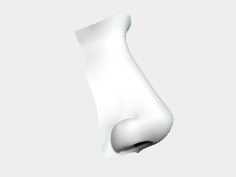 Woman Nose 01 3D model_31