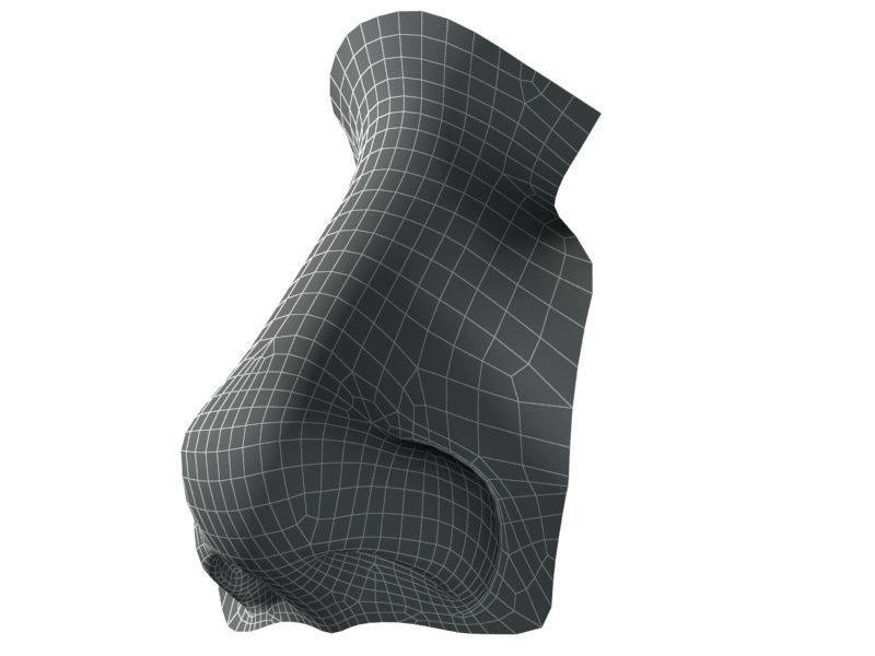 Woman Nose 01 3D model_27