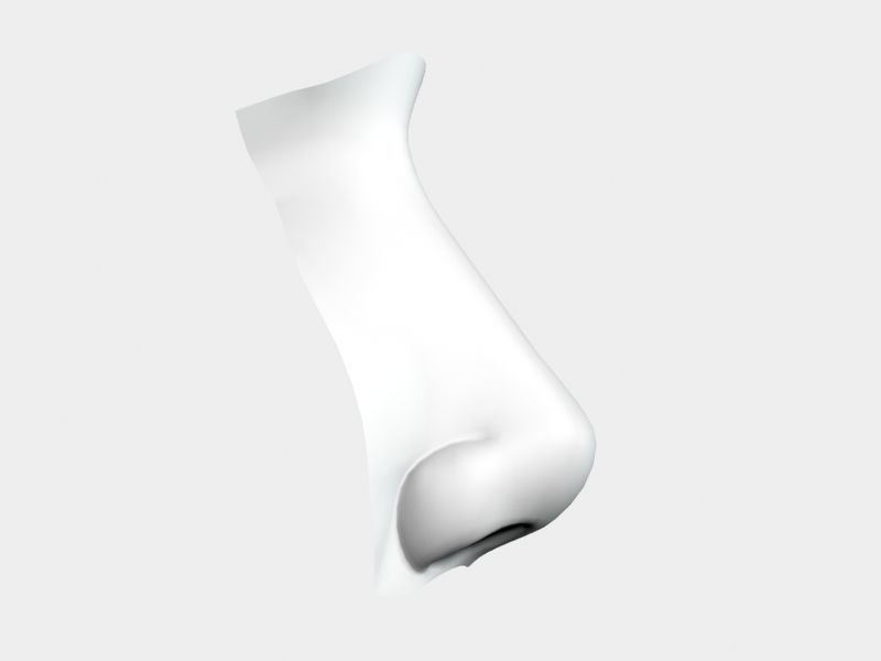 Woman Nose 01 3D model_29