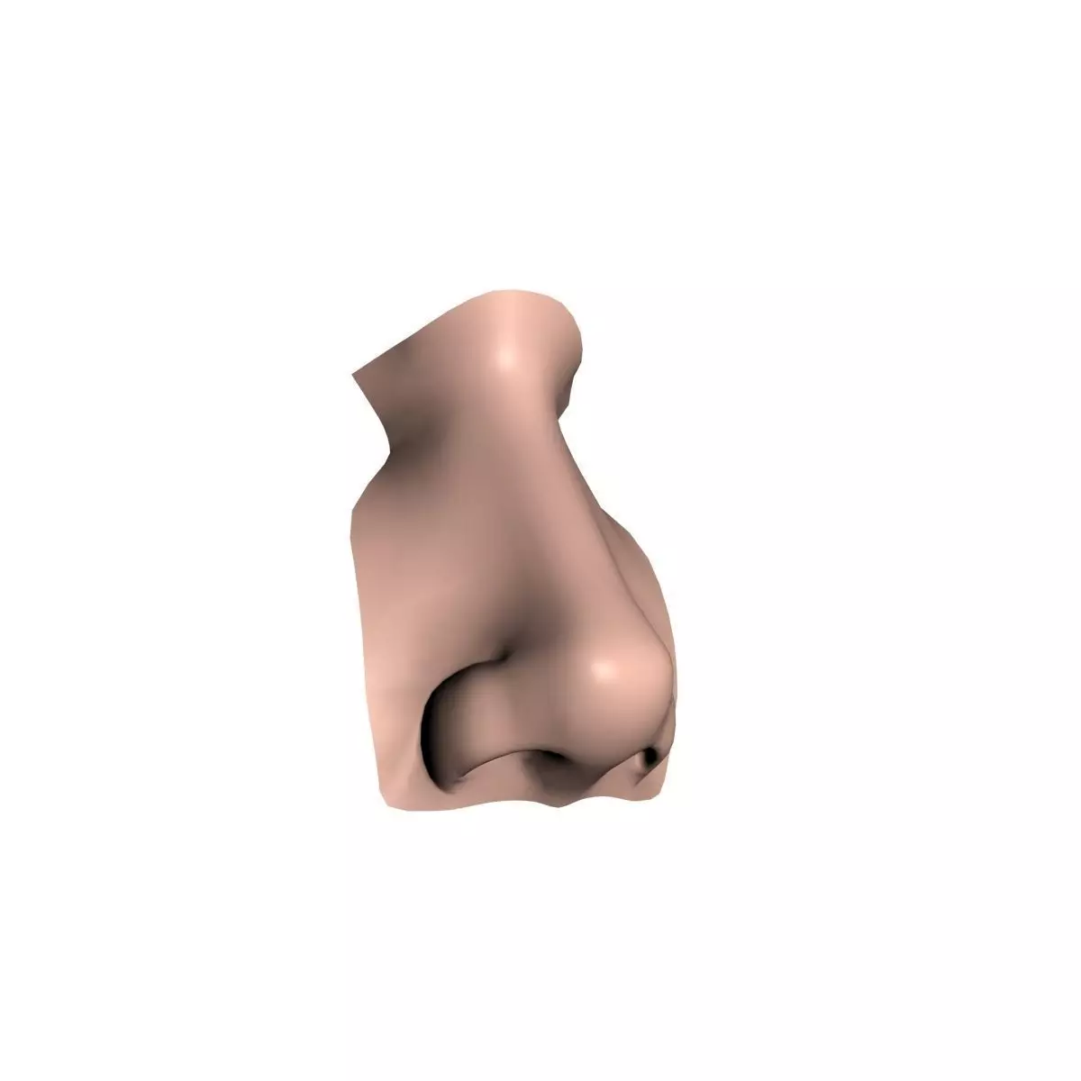 Woman Nose 01 3D model_0