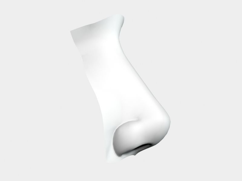 Woman Nose 01 3D model_30