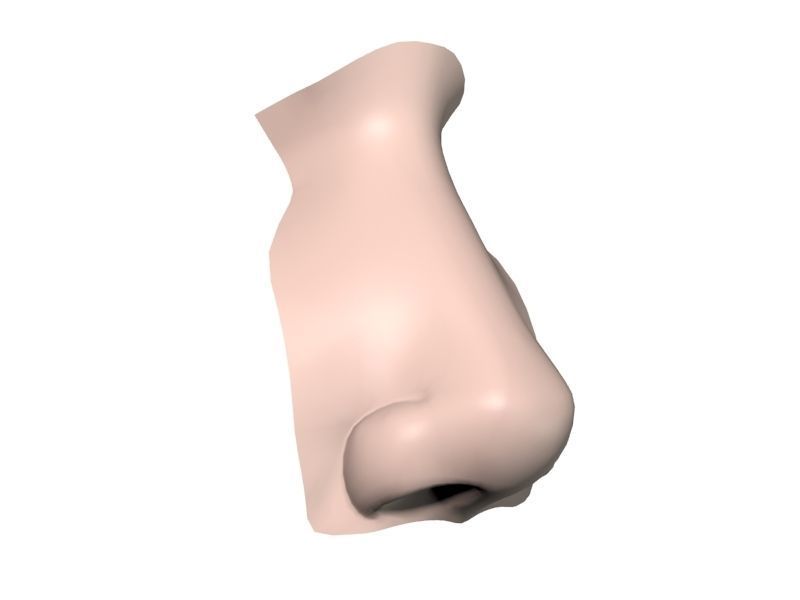 Woman Nose 01 3D model_10