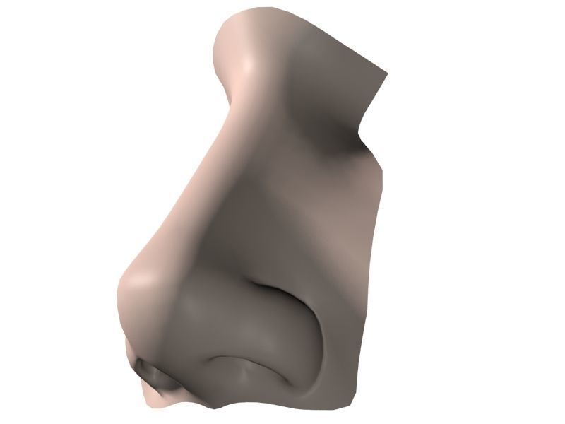 Woman Nose 01 3D model_16
