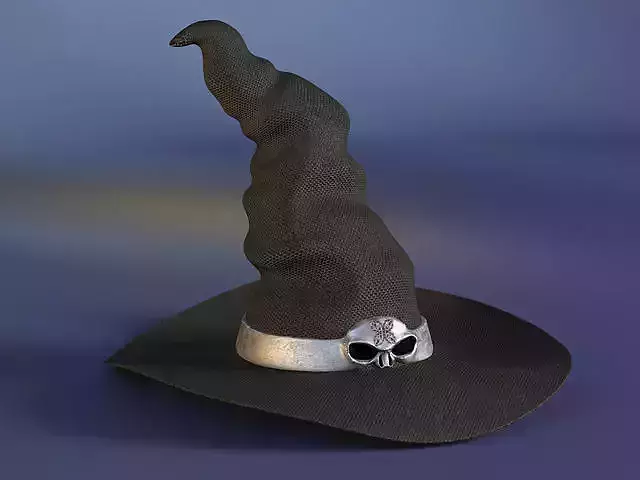 Witch Hat 3D model