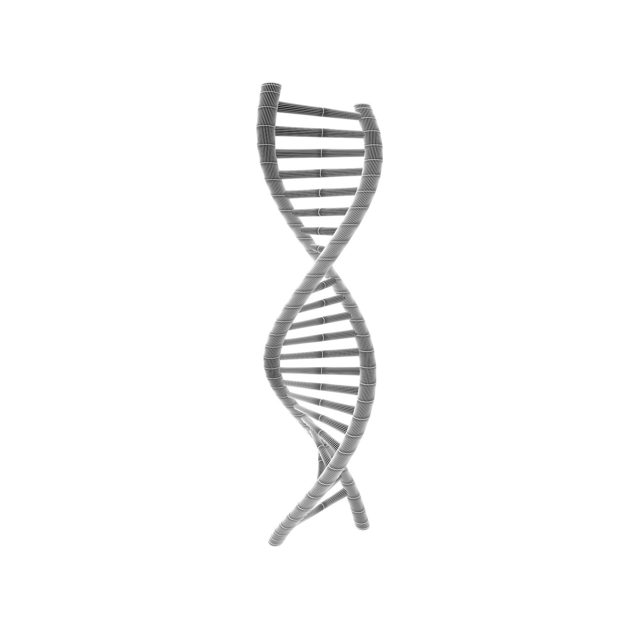 DNA Molecule v1 002 Low-poly 3D model_4