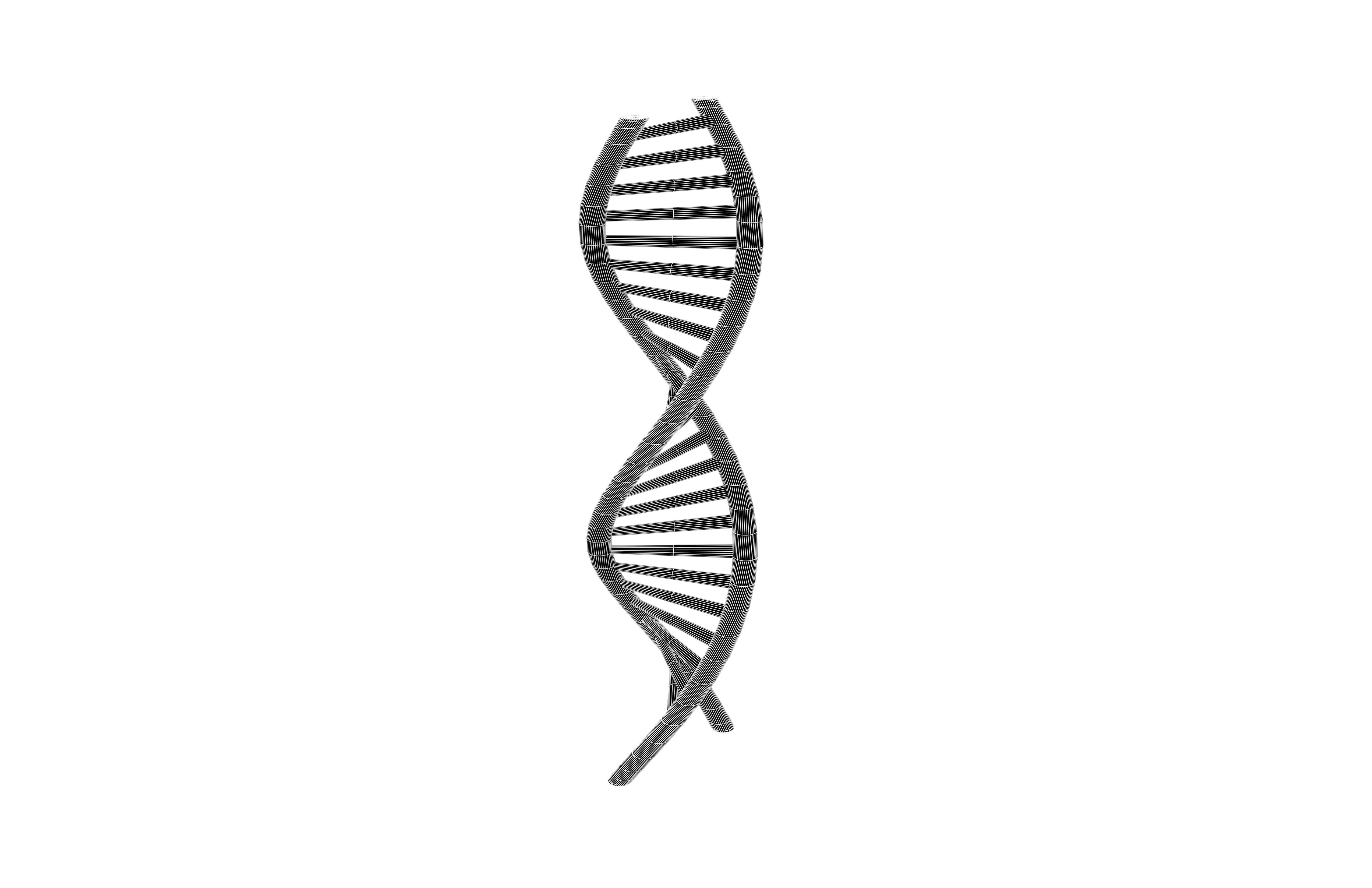 DNA Molecule v1 002 Low-poly 3D model_6