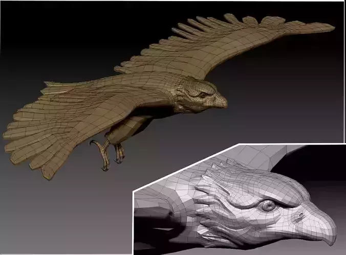 3D Eagle