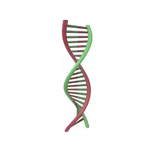 DNA Molecule v1 003 Low-poly 3D model