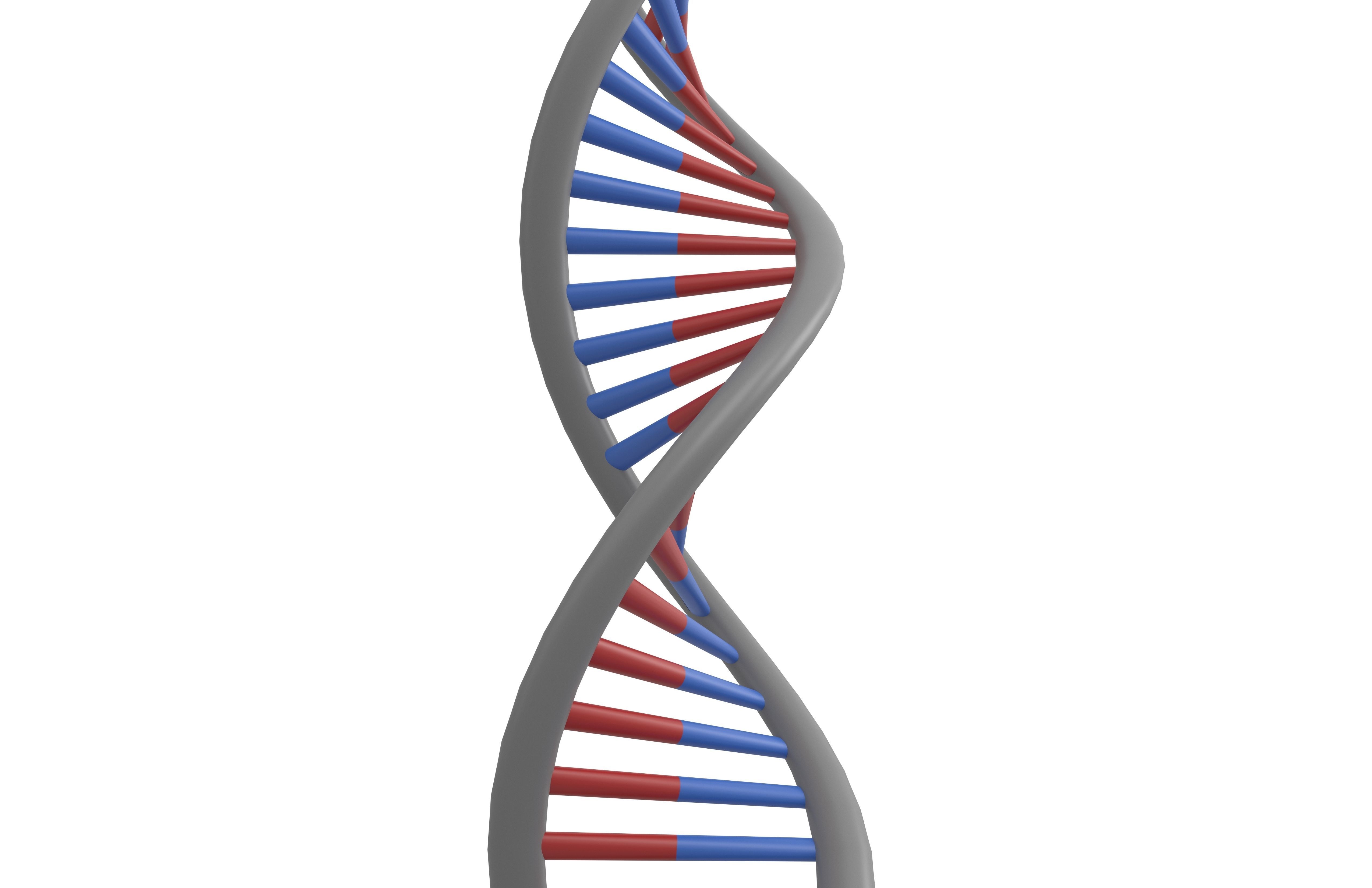 DNA Molecule v1 004 Low-poly 3D model_3