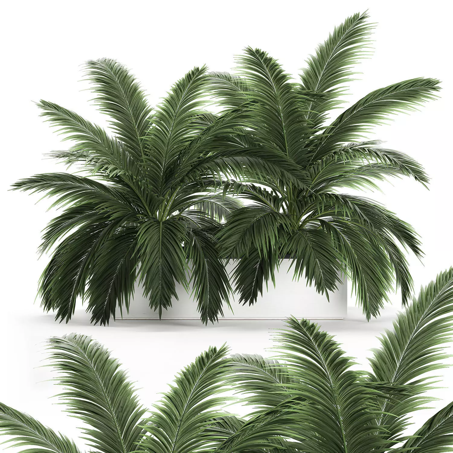 Decorative palm in a flowerpot 690 3D model