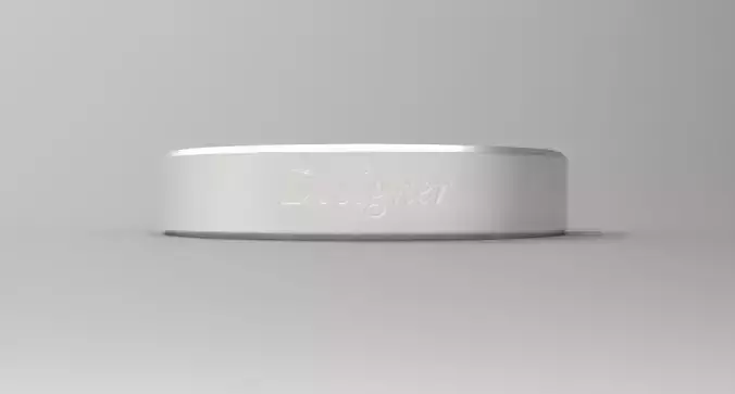 Designer Ring Silver 3D print model
