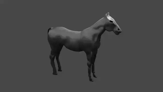 HIGH QUALITY HORSE 
