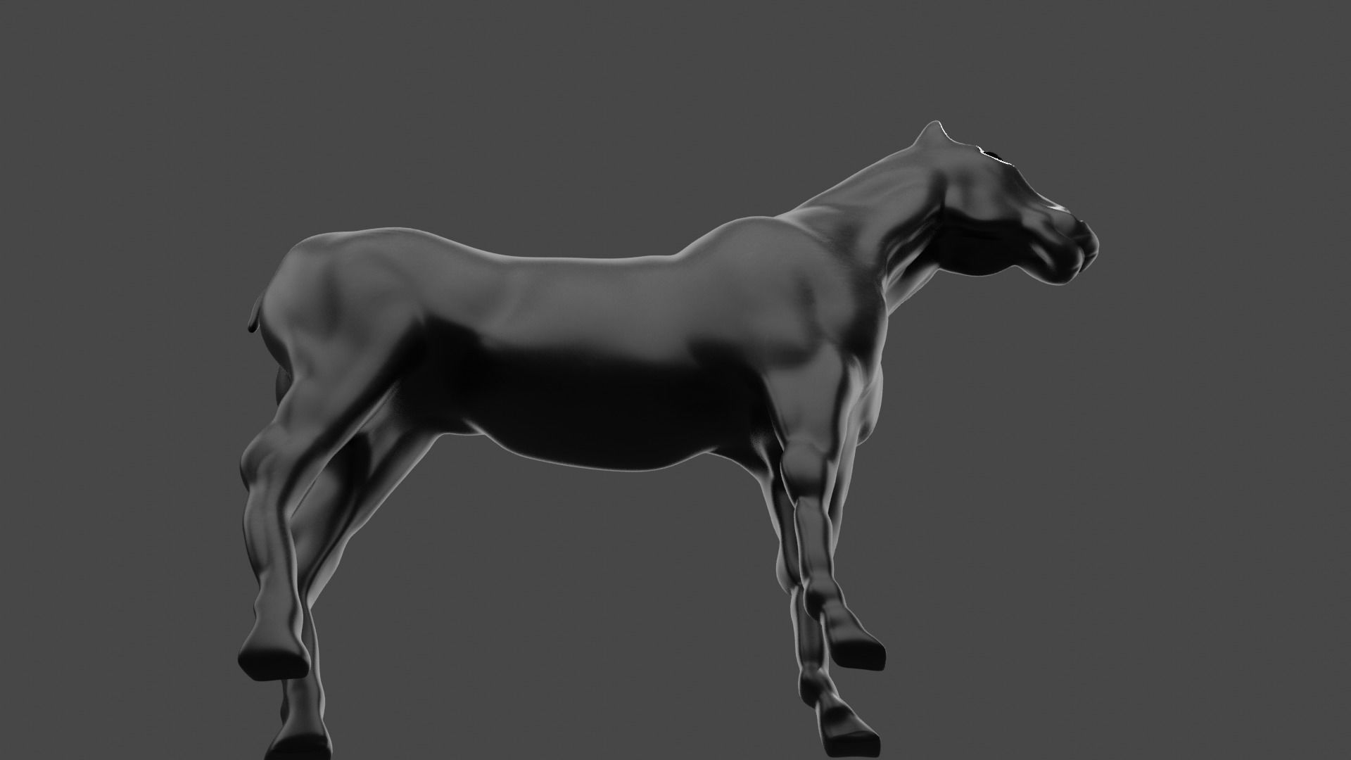 HIGH QUALITY HORSE 3D model_8
